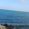 usuario00000973783920