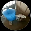 samuelferreira2754