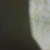 affilia53