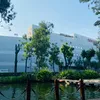 linh342167