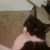 juscilene081