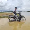 panhablack2