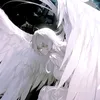 umbr4mortis