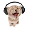 katwwix05