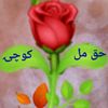 naikmohammadhaqmal1