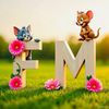famistah025