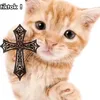 gatinho_tira_maldica