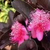 tanlethanh71