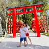 lani_km2202