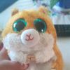 crafedo023