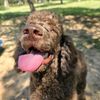 barrythesnackandco