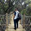 HERDY_Mistery