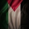 ansarkhaliq08