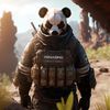 geremiaspandas