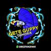 geteguppy26