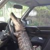 thesaltyfloridaman