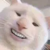 phuc_meme3
