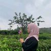 mpaah27