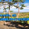 gunungkidul_jalan_jalan