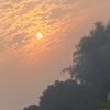 binushrestha79