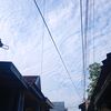 siapa.665com
