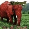 jul1_4n