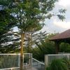 mutiara.cantika15
