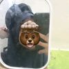 allyaaaa_llya