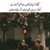 nomantahir533