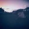 tmztyl