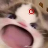 vkhaaaaaa_