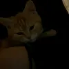 user171122800816