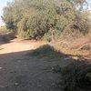 hamzamk7977