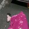 wawaa20061020