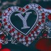 yunismaalim2