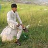 shakir6722