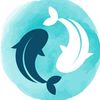 oceandreamssherborn