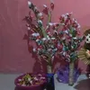 yulipanda16