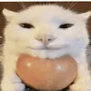 japuszk0._