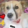 kiaracl14loarca