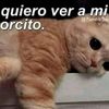 cristoff982