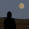 ahmed_almahrog4