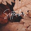 bryvin_sims13