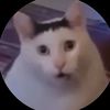 lucazo00