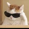 scott_yt21