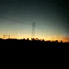 cueil_verg33