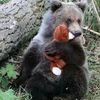 fruitfulbearr