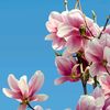 ayten.mohamed237