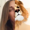 alytopdg
