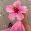 natuushaa8